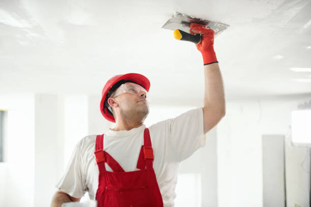 Best Eco-Friendly and Low-VOC Painting  in Bowling Green, OH